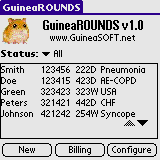 guinearounds_screenshot.gif